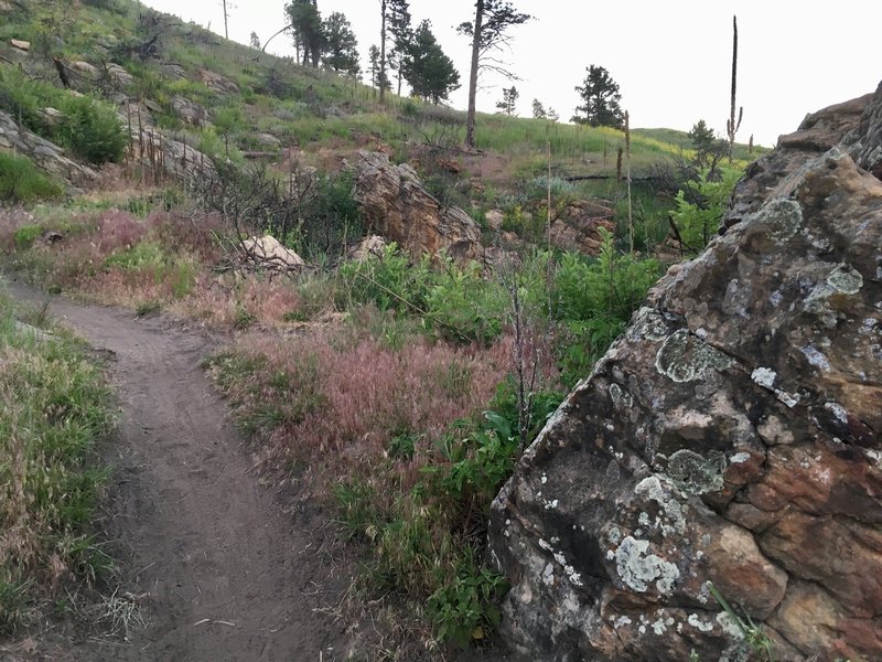 Looking up the trail between boulders.