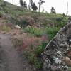 Looking up the trail between boulders.