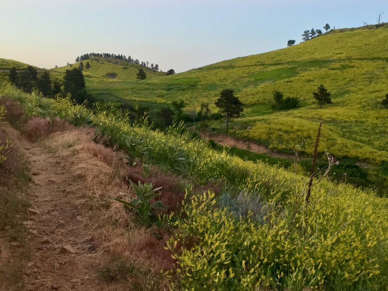 Looking up the trail and across the valley.