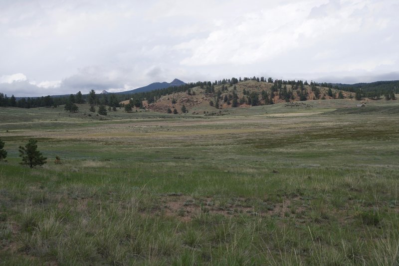 You can see the Hornbek homestead from the trail. The Hornbek Wildlife Loop trail is a 2.8-mile trail that will lead you out there.