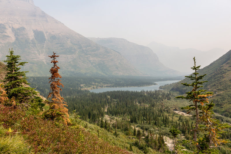 Bullhead Lake from the first switchback to Swiftcurrent Pass.