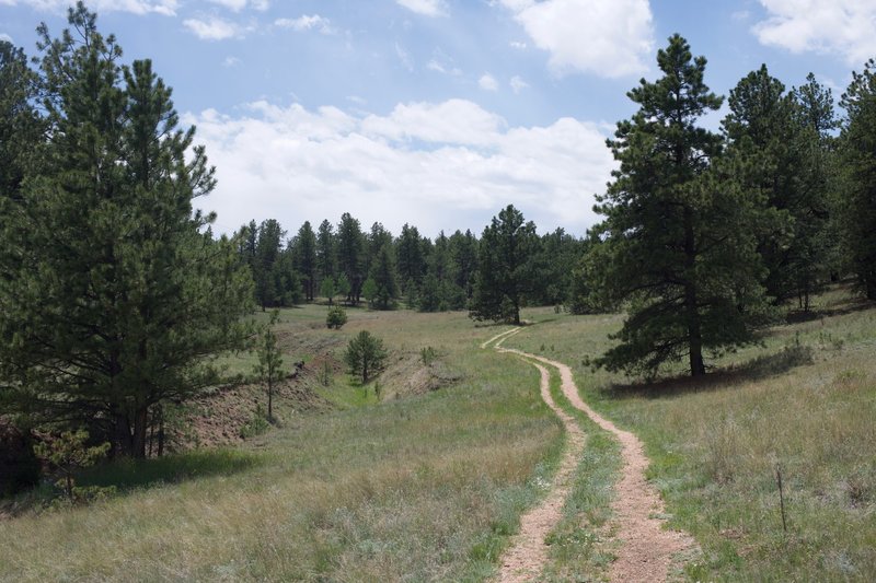 The gravel trail follows an old farm road that approaches a creek bed as it moves deeper into the monument.