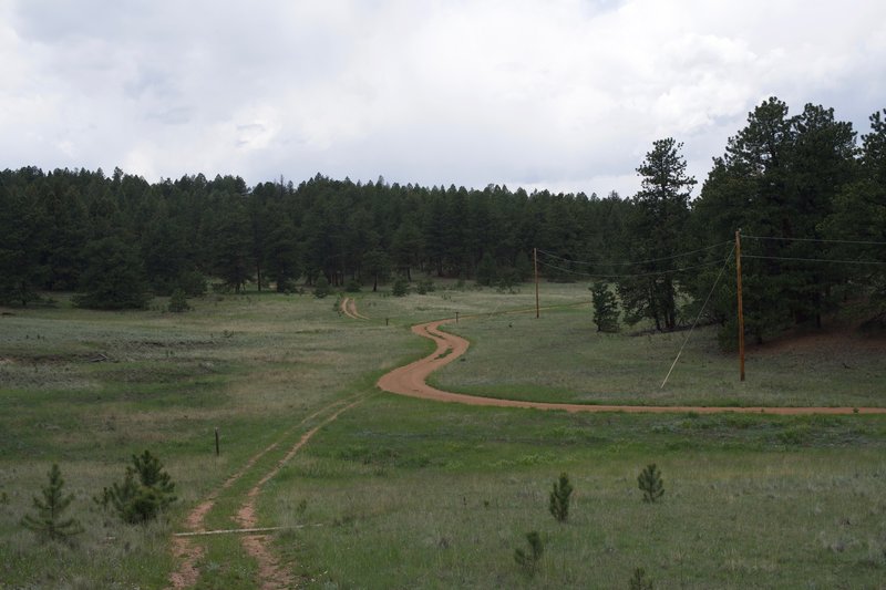 The trail drops down the hill side before it meets up with the service road for a short distance before entering the woods.