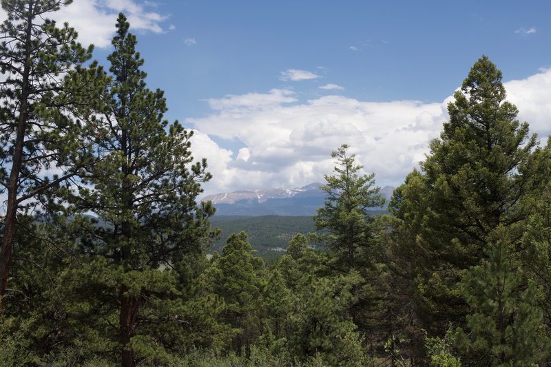 The view of Pikes Peak area from the Sawmill Trail at the junction with the Hans Loop Trail.