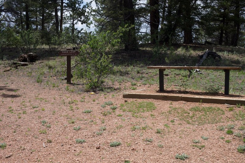 When the Sawmill Trail meets up with the Hans Loop Trail, there is a bench for you to rest and enjoy the views.