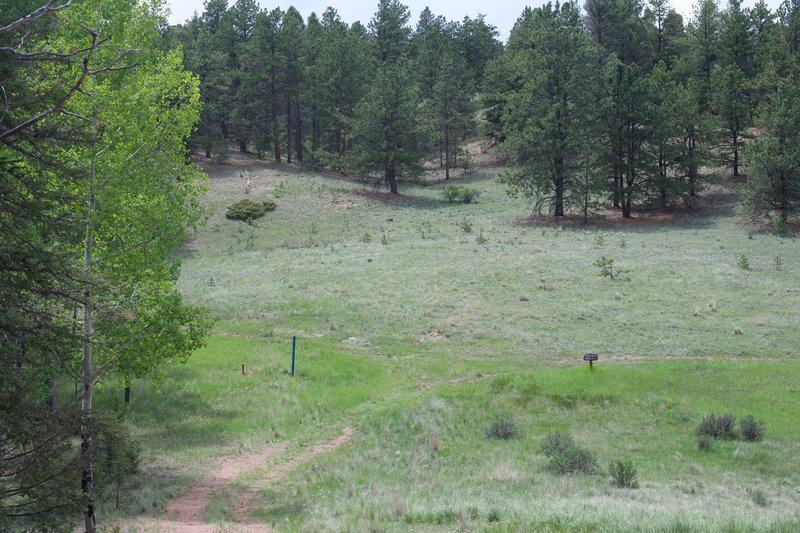 The trail drops down the hillside and meets up with the Hans Loop Trail.