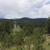 While it looks like the trail follows the road off into the distance, it will actually turn to the right at the bottom of the hill and head back to the visitor center. It does provide a good view of the surrounding area.