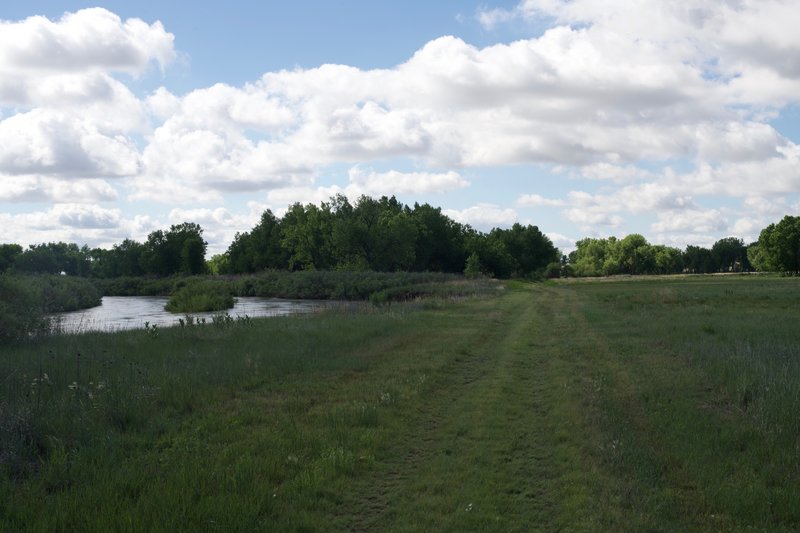 The trail is essentially a mowed path along the river as it heads toward the bottom lands where trees grow in abundance.