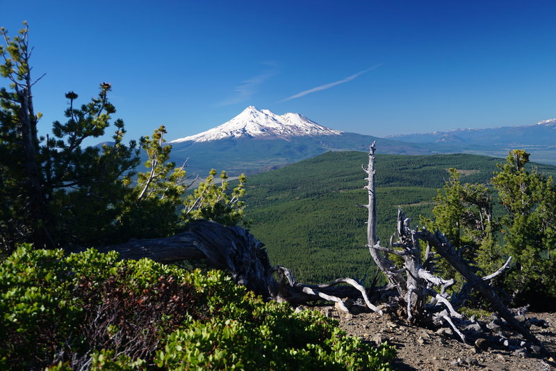 View of Mount Shasta, June 22, 2019.