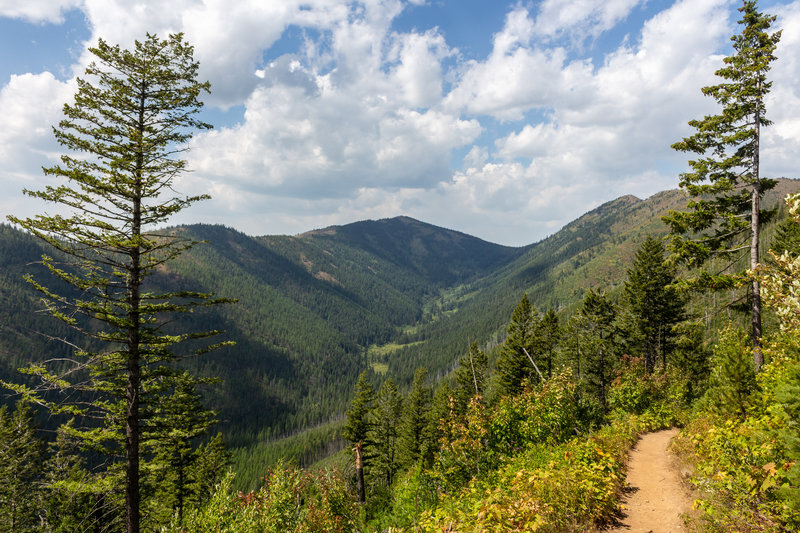 View into the Apgar Mountains.