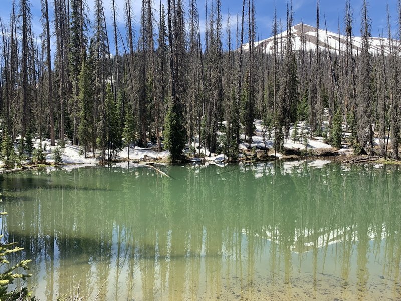 Small pond on the way to Rio Grande pyramid.