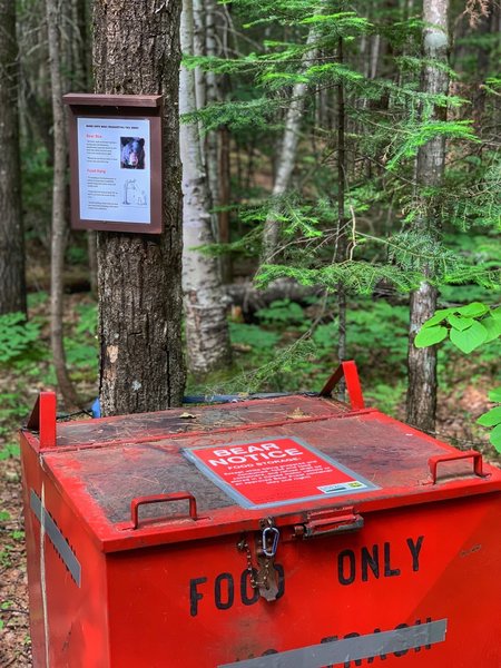 The bear box at Franconia Book Tentsite.