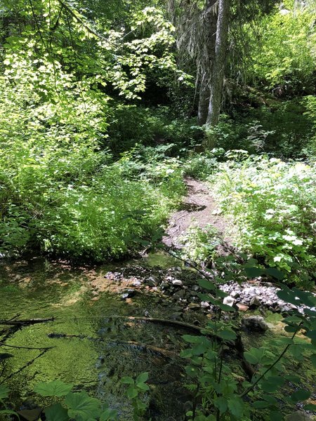 Creek crossing.