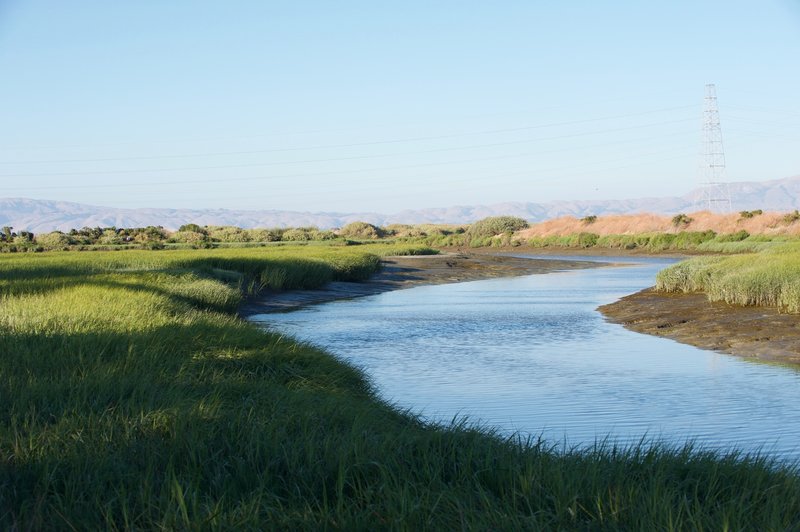 The waterways are subject to the tide, so the water may be up if you are there in high tide, or you may see more mud (like this) if you are there closer to low tide.