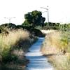 The trail is made up of decomposed granite and crushed oyster shells and makes its way along the edge of the marsh. The trail, shared by bikers, hikers, and runners, is wide enough for 2 people to pass each other, but that's about it.