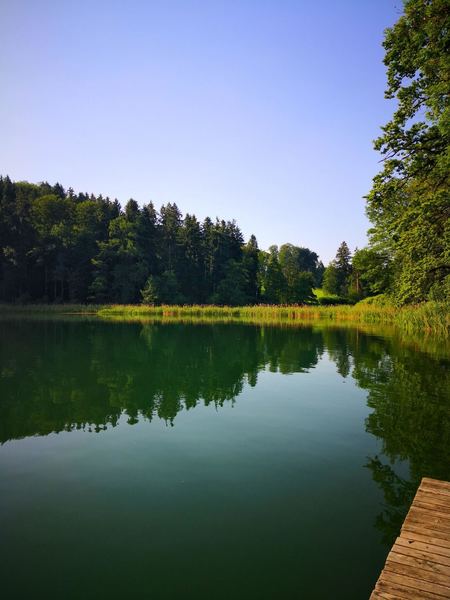 Türlersee - Zürich's Hidden Gem