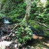 Sweet little falls and wading pool