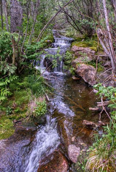 A series of waterfalls along Amethyst Creek