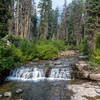 Small waterfall at the Florence Falls junction