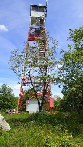 The Culver Fire Tower