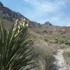 Beginning of trail at Smugglers Pass