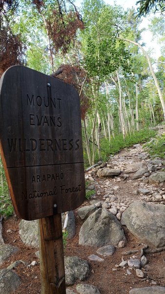 Sign for Mount Evans Wilderness