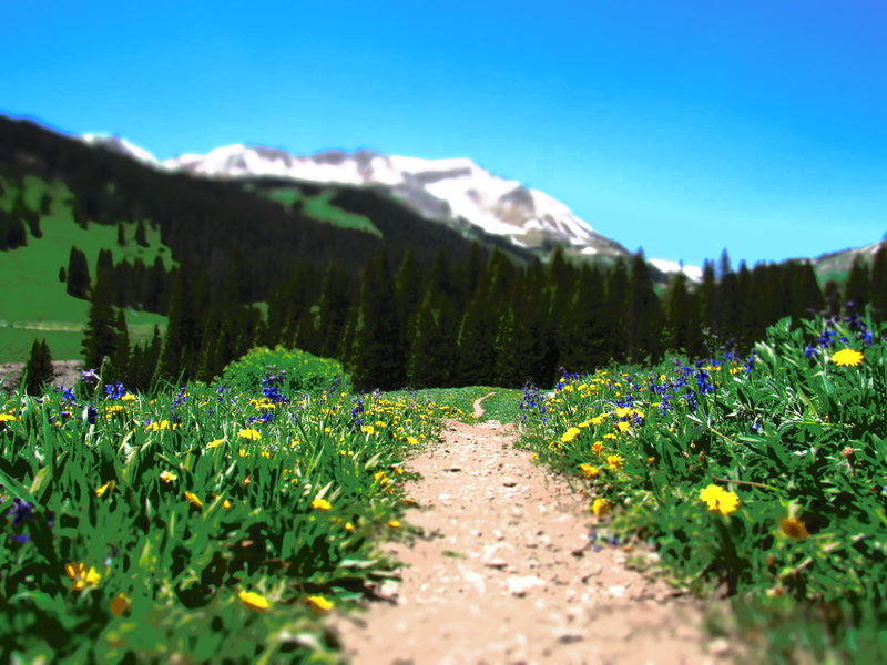 401 trail up from the parking area near Rustler Gulch parking area