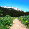 401 trail up from the parking area near Rustler Gulch parking area