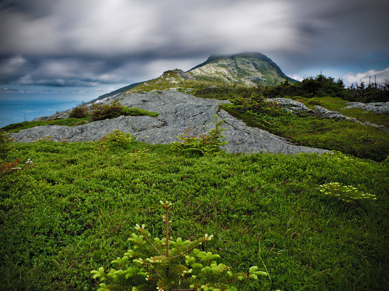 Few places bring me as much joy as hiking to the summit of Mt Mansfield near Stowe, VT.