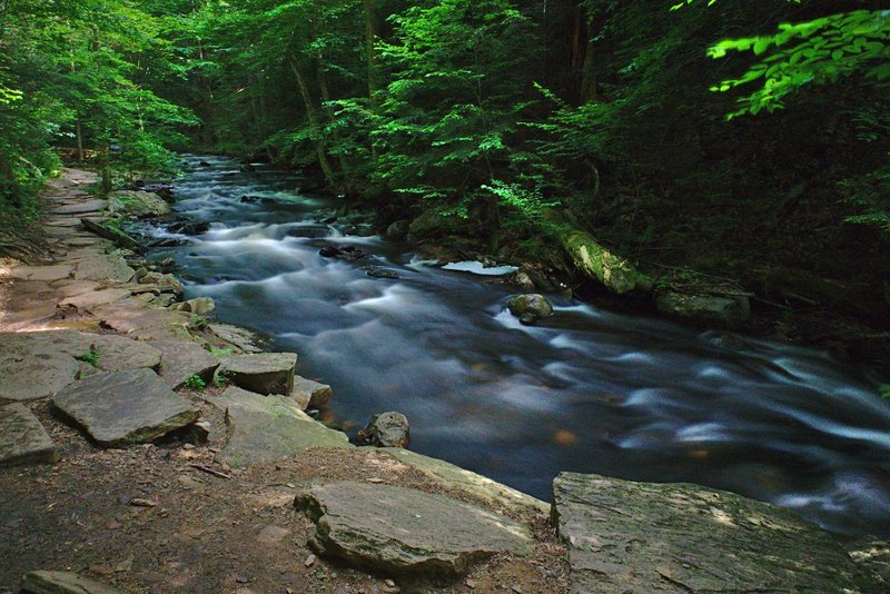 Even the routine sections of Rickets Glen State Park are quite beautiful!