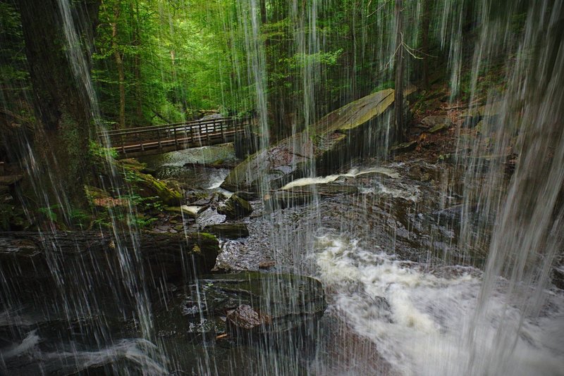 A view from the small crevice behind B. Reynolds Falls in Rickets Glen State Park, Pennsylvania.