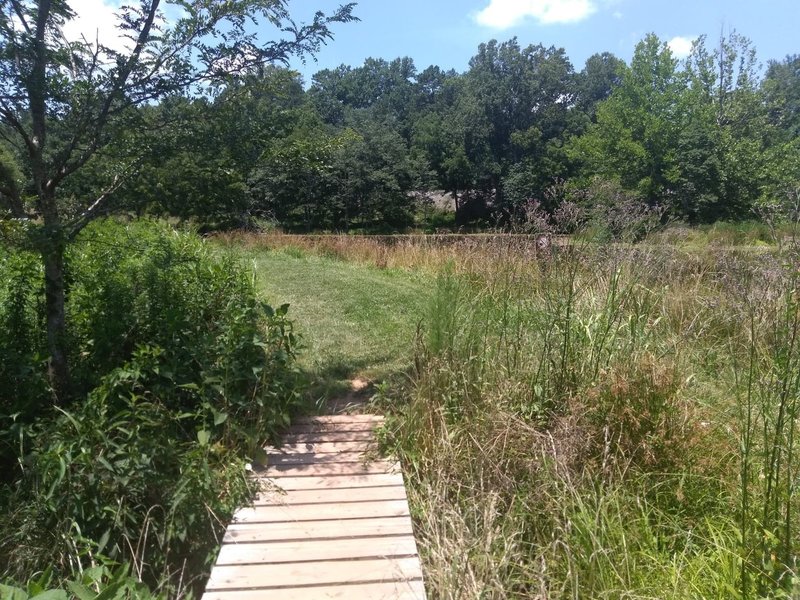 Small Footbridge