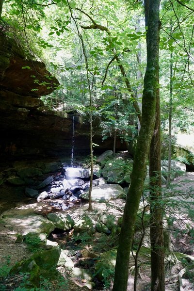 Fall Creek Falls -- photo from July 2019. Based on discussion with other hikers who are familiar with this hike, water flow in the area was less than average for this time of year.