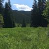 Meadow near North Fork of Tieton River