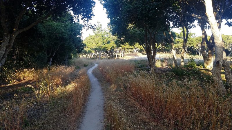 Singletrack along Watkins Gate/Gigling Road.