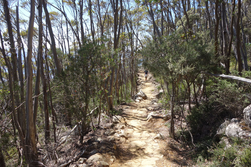 Hiker on the Organ Pipes track