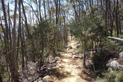 Hiker on the Organ Pipes track