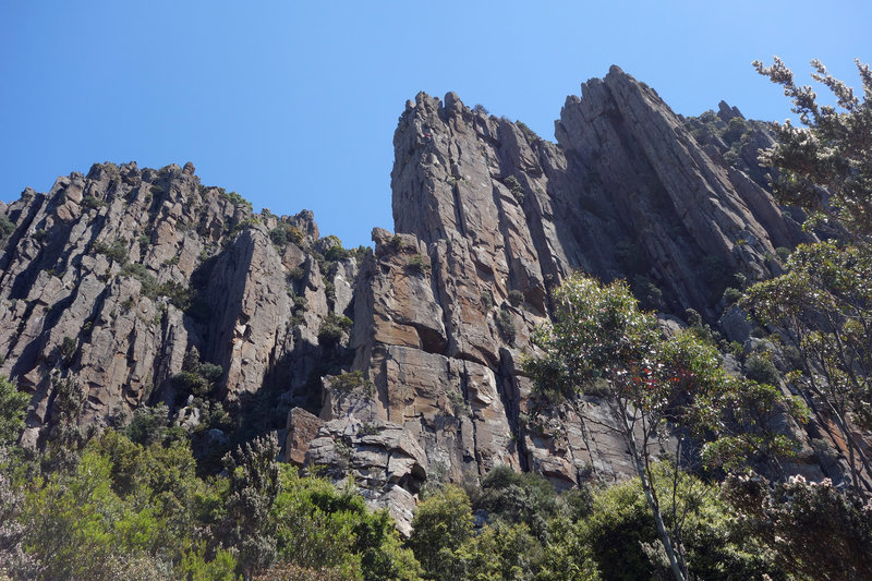 The Organ Pipes