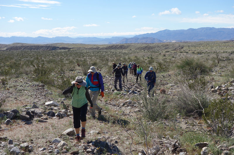 Hiking group traversing Palo Verde Wash