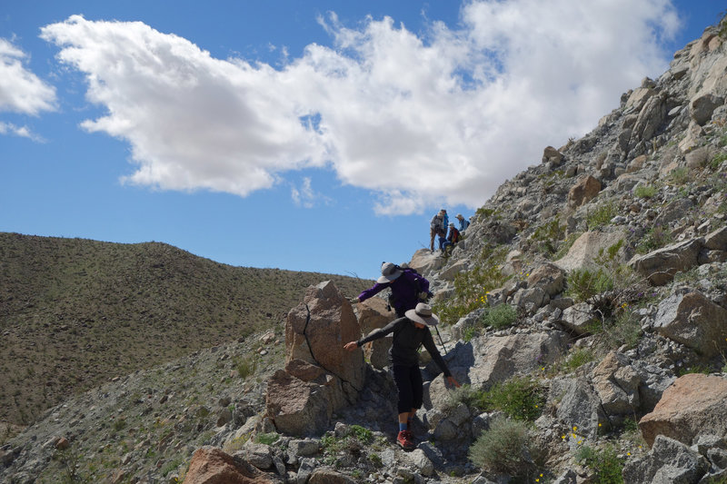 Hikers descending into Smoke Tree Canyon on a tricky stretch of trail