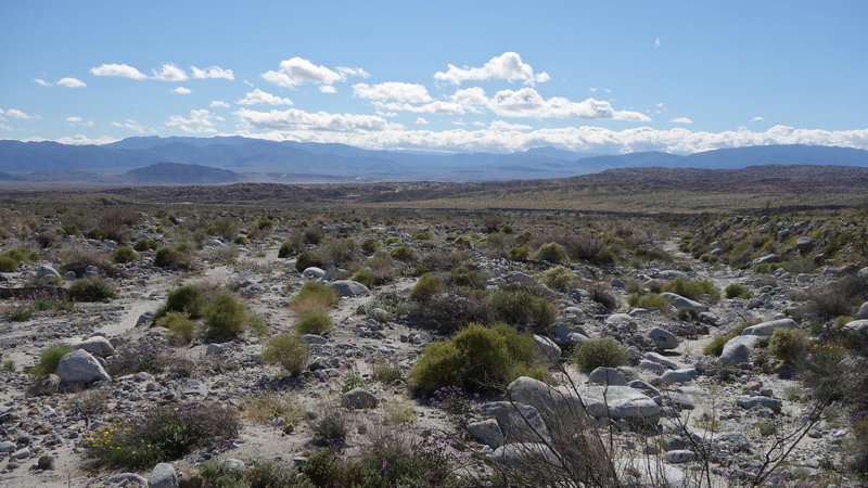 End of the hike at SR-22 after exitiing Smoke Tree Canyon