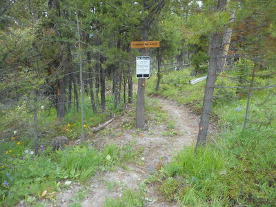Trailhead
