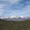 View west towards the Pine Valley Mountain Willderness Area across I-15