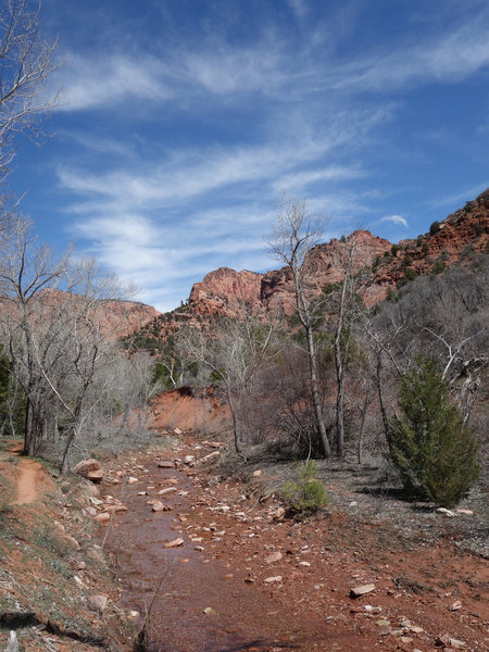 One of many LaVerkin creek crossings