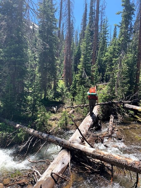 The creek crossing on the Lake Katherine trail, upstream from the washout