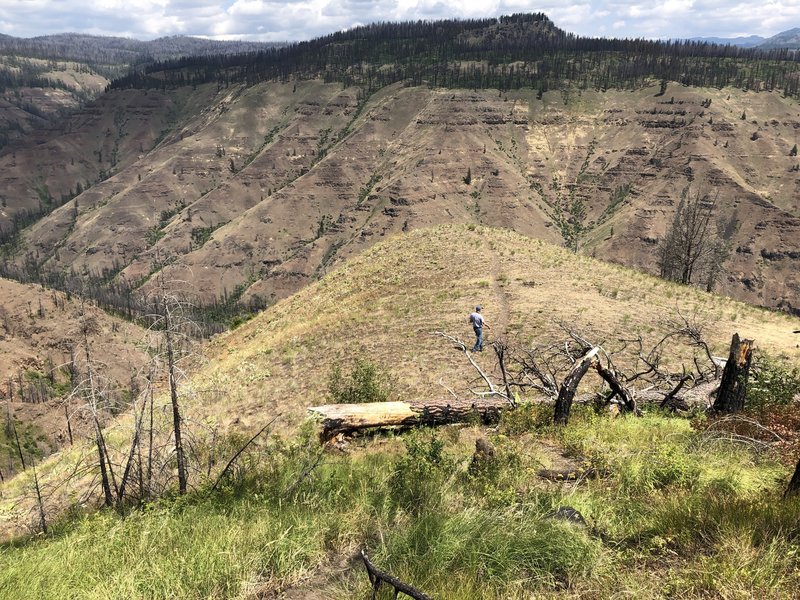 View north below trailhead