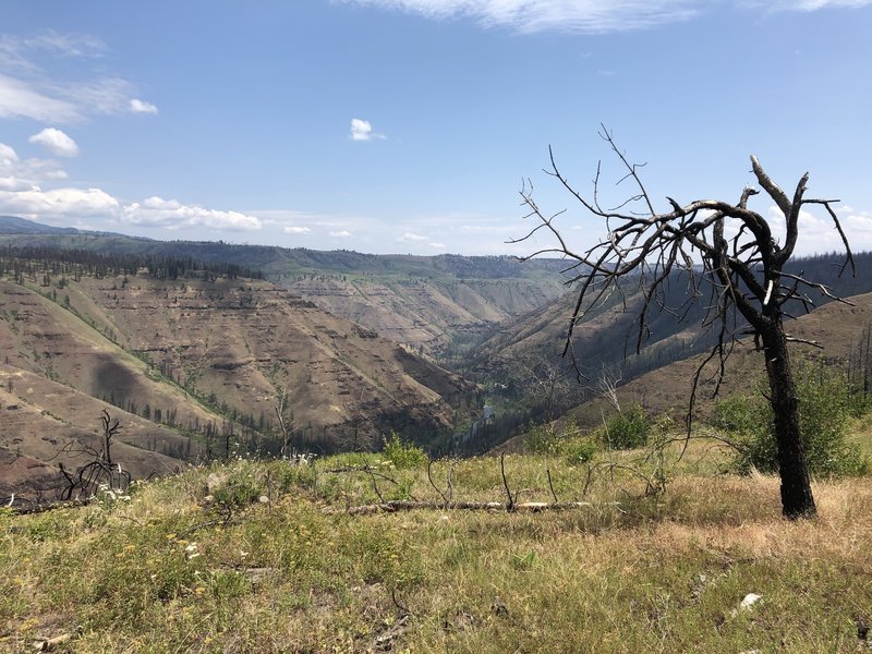 View to east into Wenaha River canyon