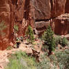 Backpacking group descending the North Kaibab trail