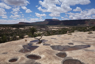 Filled potholes on the mesa of the Natural Bridges National Monument loop.