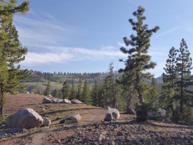 Osborne Ridge panoramic view.